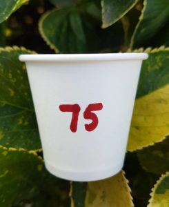 75ml JEJU JALLAN KLIK Paper Cup
