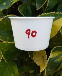 90 ml - JALLAN- 6k paper Cup