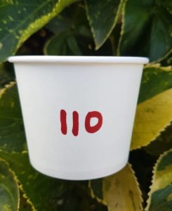 110 ml - JALLAN- 6k paper Cups