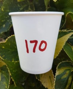 170 ml JALLAN 4k paper Cups